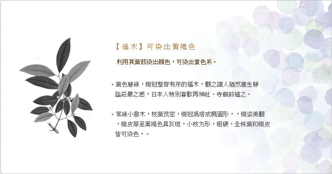 福木染,介紹,天然,植物,染出黃色,sisso